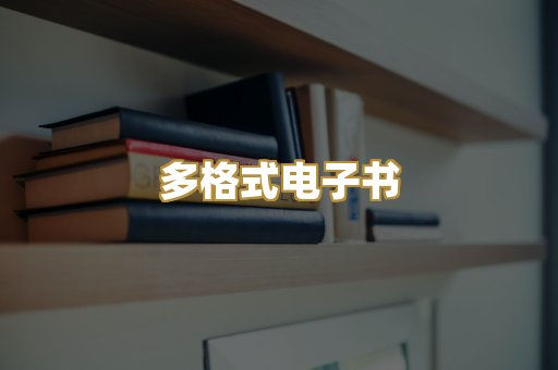 多格式电子书